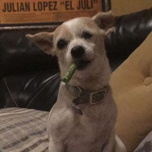 Meet your Posher, Olivia